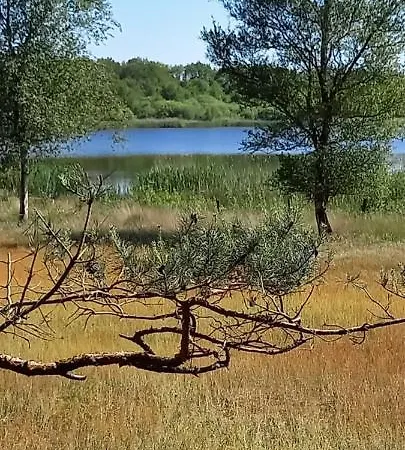 't Vosje Ermelo